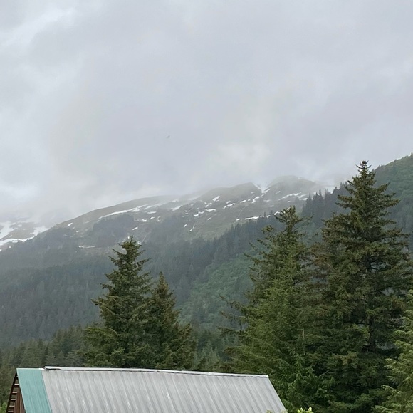 Meet your Posher, Elisabeth - Picture 1 of 1